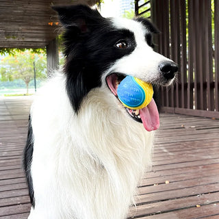 Dogs  Interactive Toys
